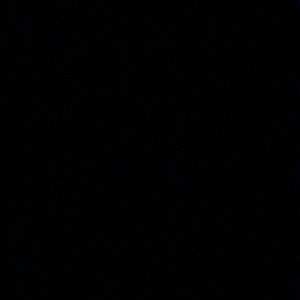 Meet your Posher, Lily